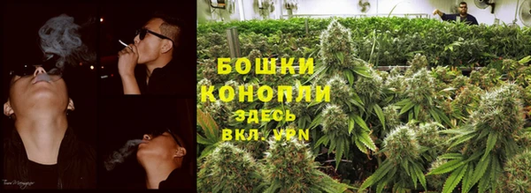 spice Алексеевка